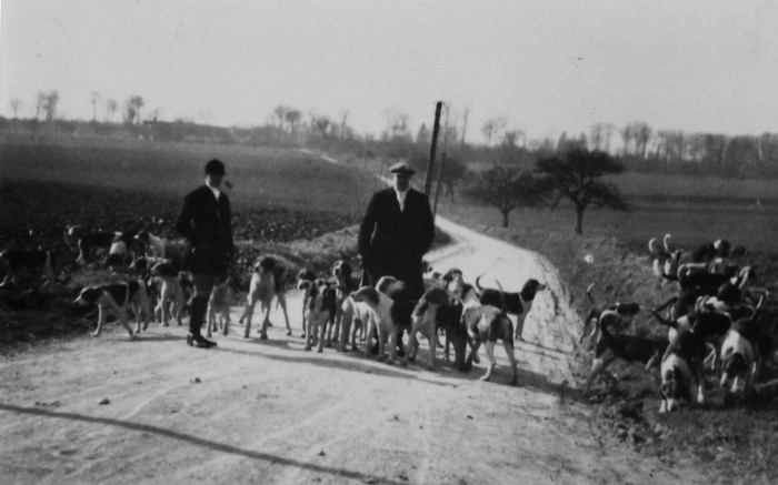 Le duc de Westminster promenant ses chiens - Collection particulière - Don à la Société de Vènerie - M. M. Berge